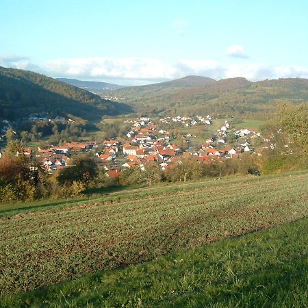 Ferienwohnung Hergenroeder Riedenberg  Esterno foto