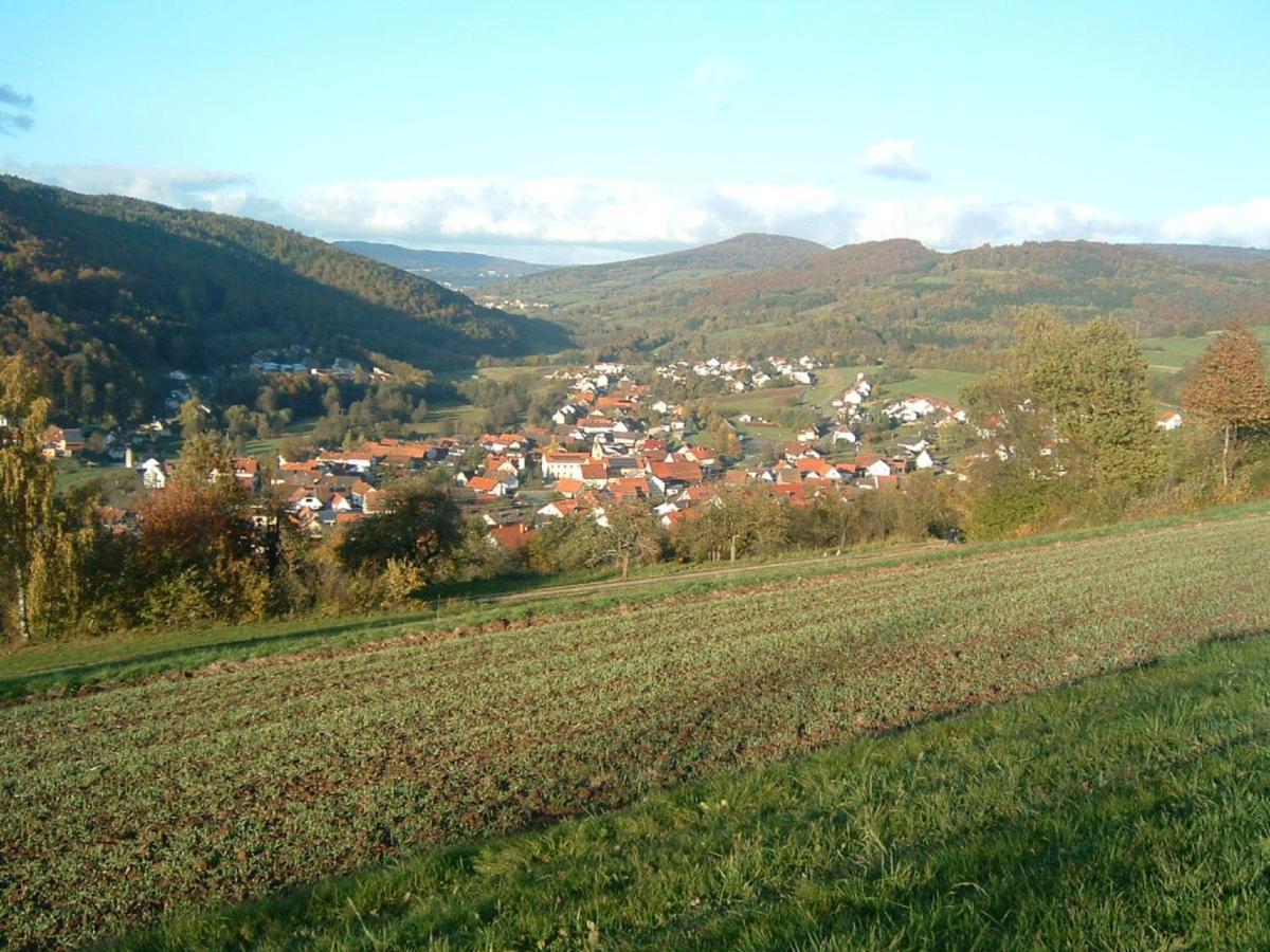 Ferienwohnung Hergenroeder Riedenberg  Esterno foto